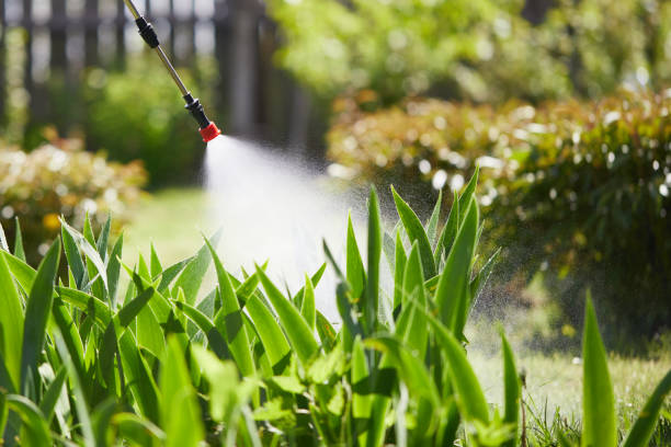 24/7 Emergency Mosquito Control experts in Republic, MO